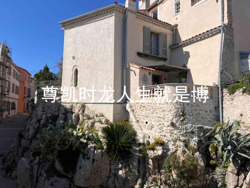 尊凯时龙人生就是博
