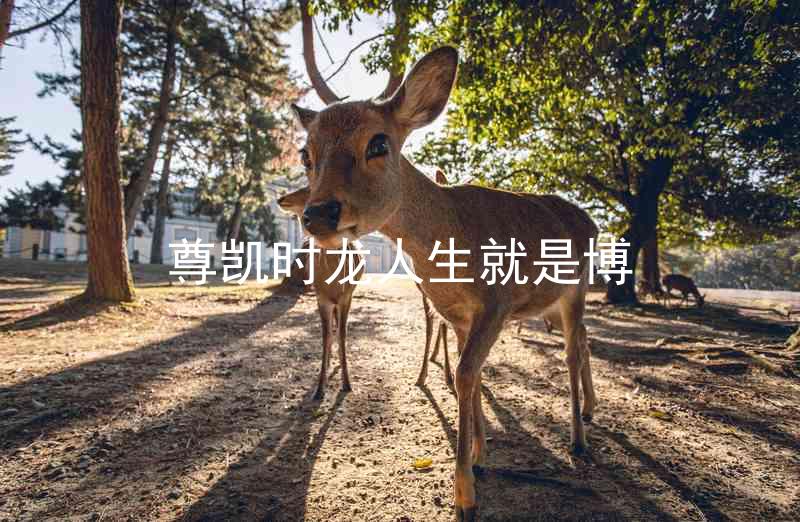 尊凯时龙人生就是博