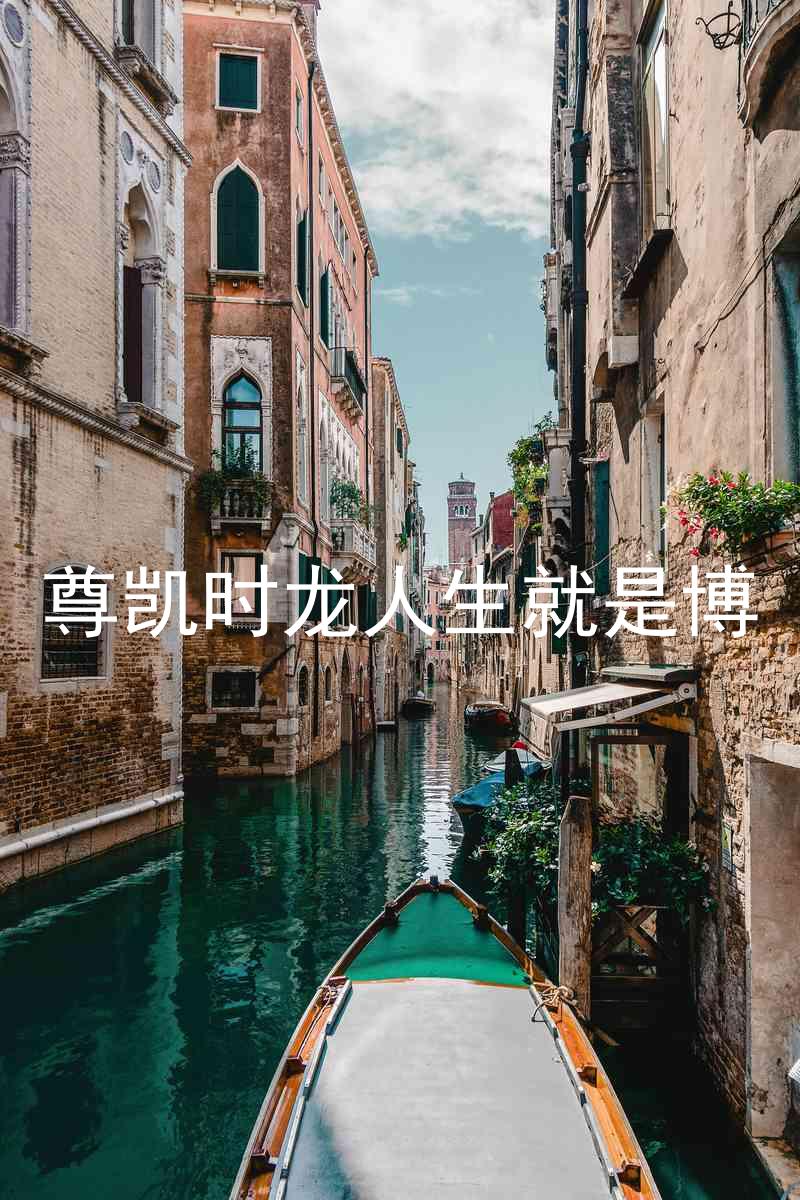 尊凯时龙人生就是博